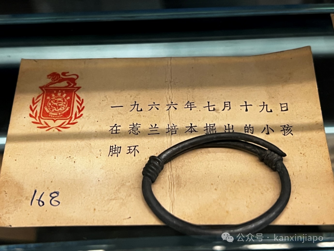 新加坡全岛拉警报！学校停水停电，没肉吃…..