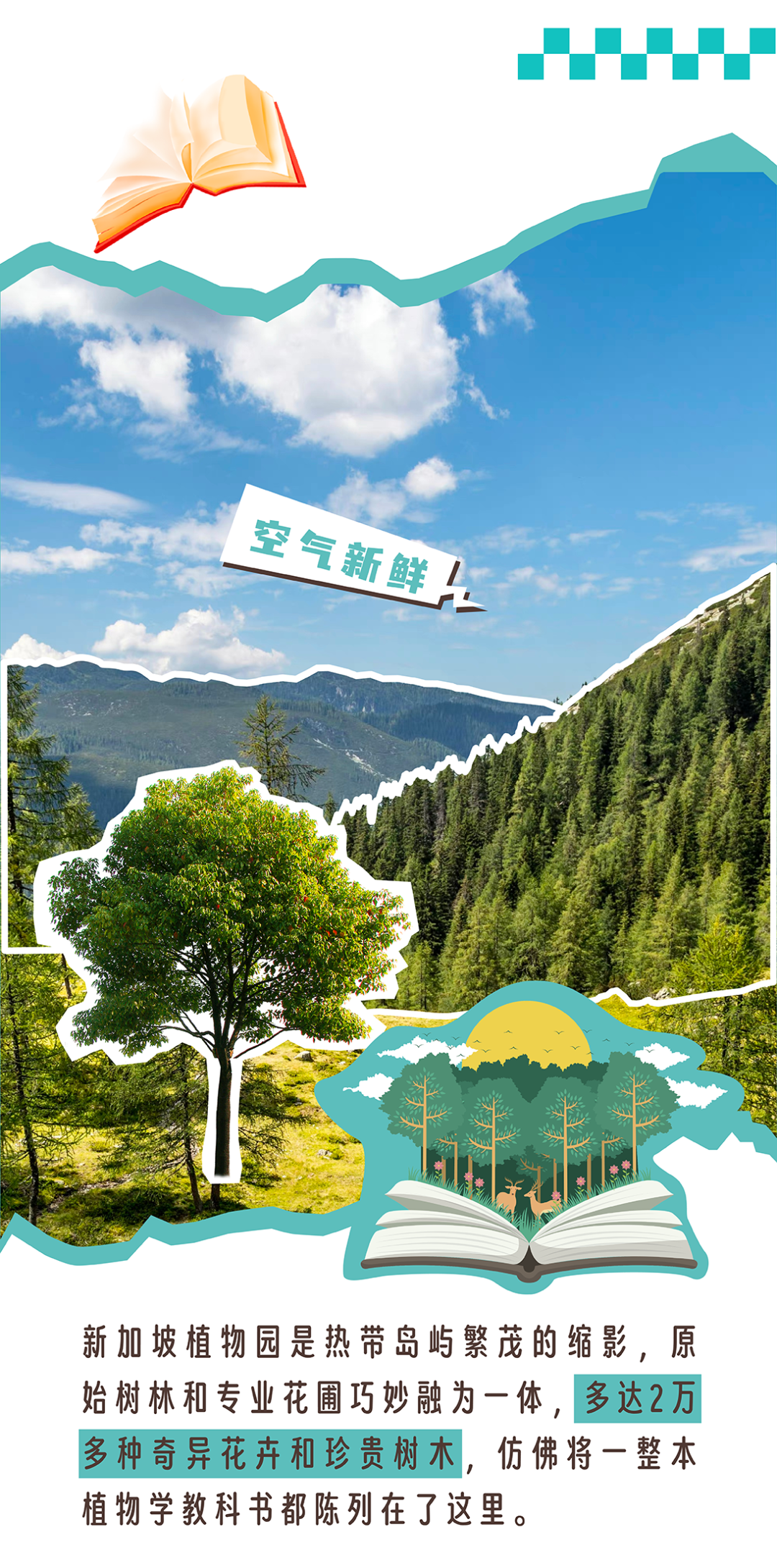 新加坡的野生动植物,到底有多“野”!