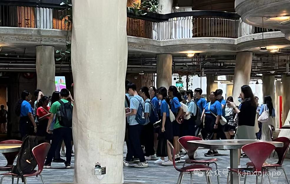 新加坡大学被游客挤！爆！了！