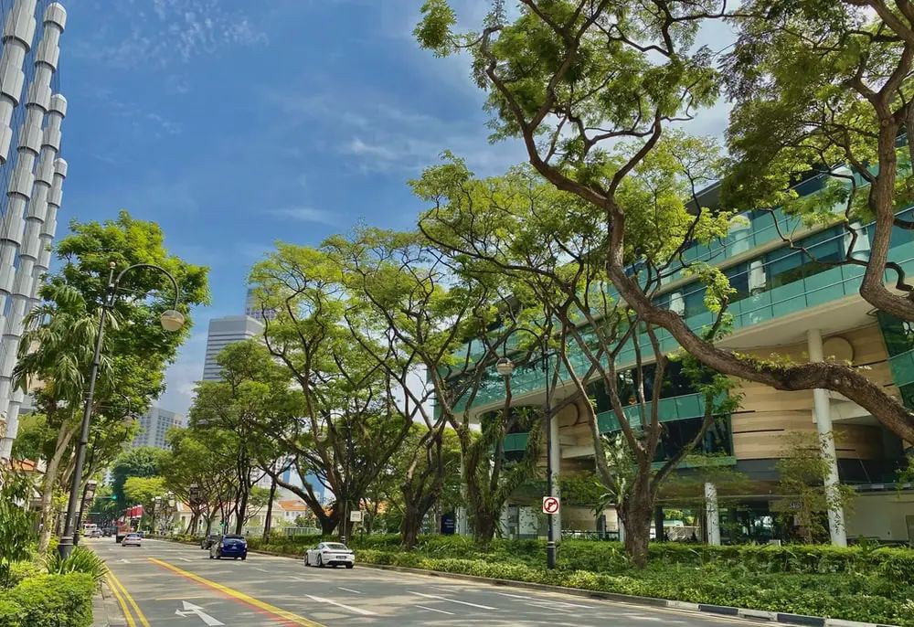 新加坡华人占74%，国歌为何用马来语唱？
