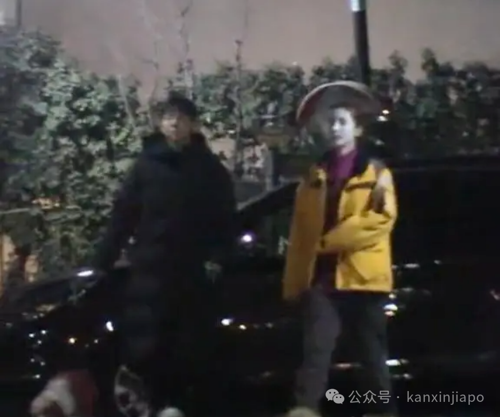 新加坡全岛各地捕获野生金晨