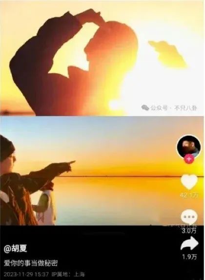 新加坡全岛各地捕获野生金晨