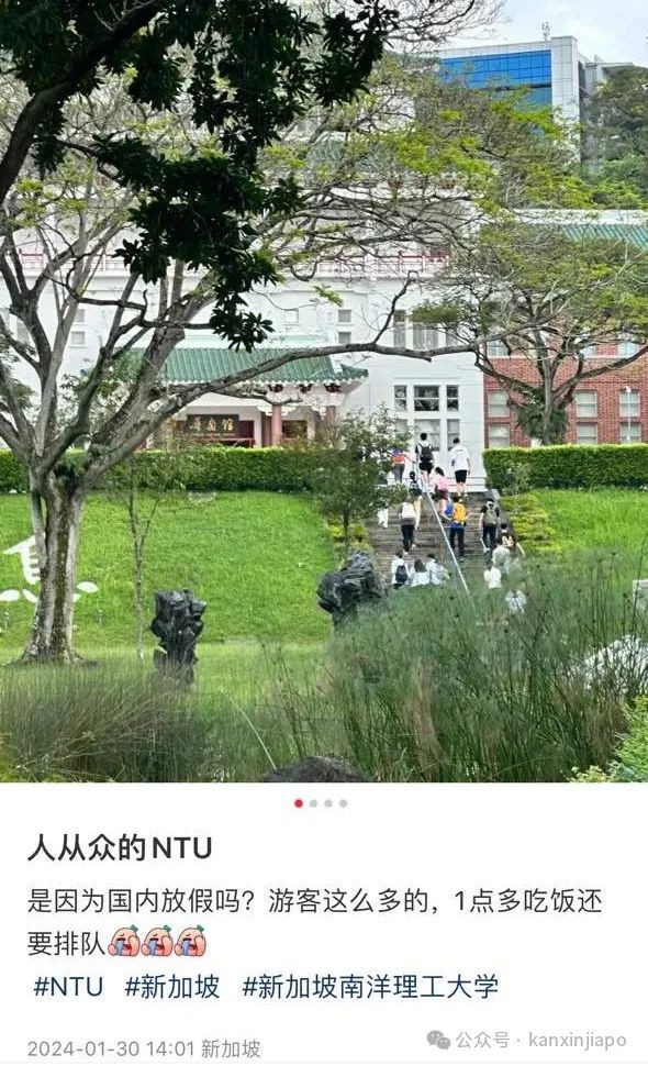 新加坡大学被游客挤！爆！了！