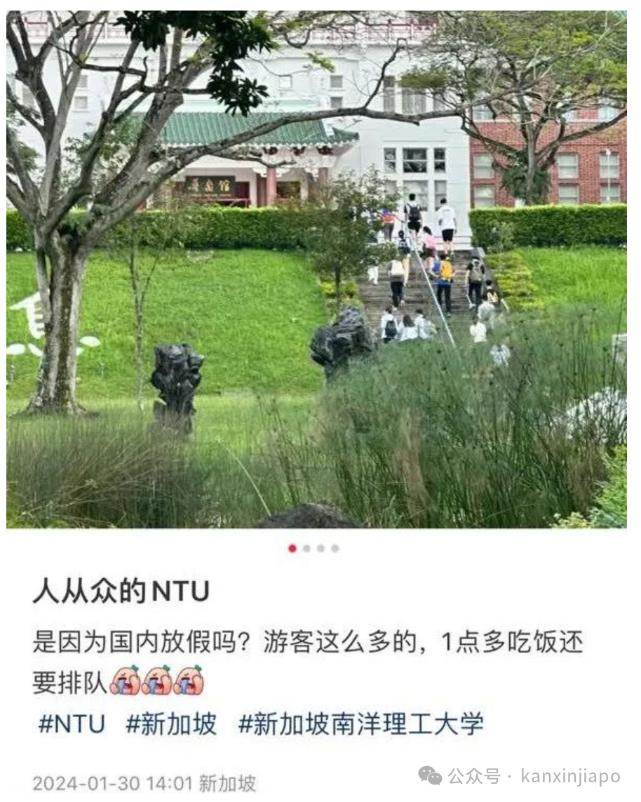 超英赶美！中国旅客新加坡消费“双连冠”！