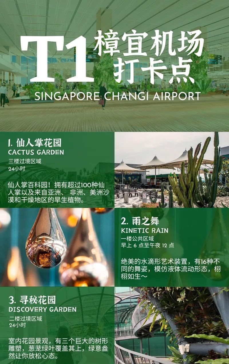 免签了!中新往返,新加坡樟宜机场2024最新超强攻略来了!