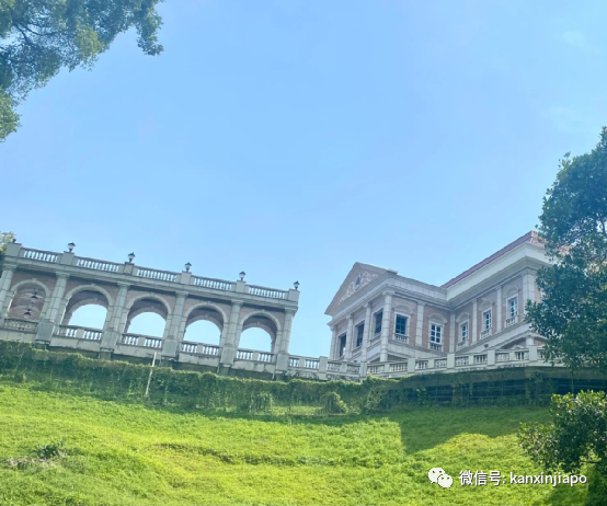 新加坡地铁汤东线沿途宝藏打卡地!不用换乘一路直达