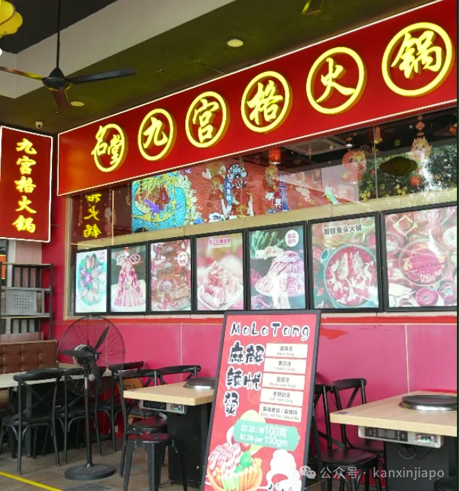 【下周活动】动物园半价，煎饼买一送一，新加坡2月演出合集来了！