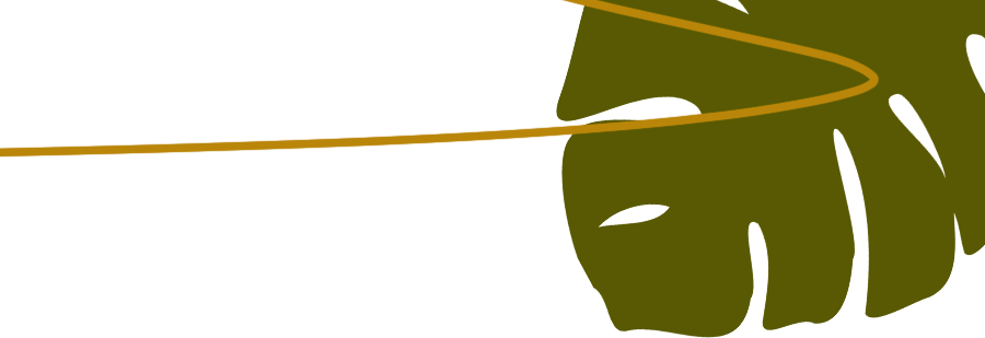 古迹、美食、节庆、探险......大马免签第一站，我pick槟城！