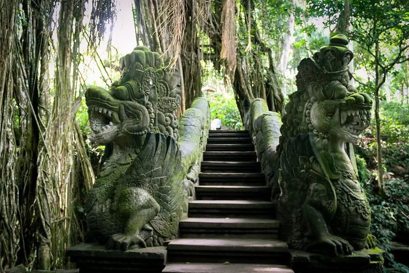 巴厘岛藏着这么多“龙”，龙年来打卡！