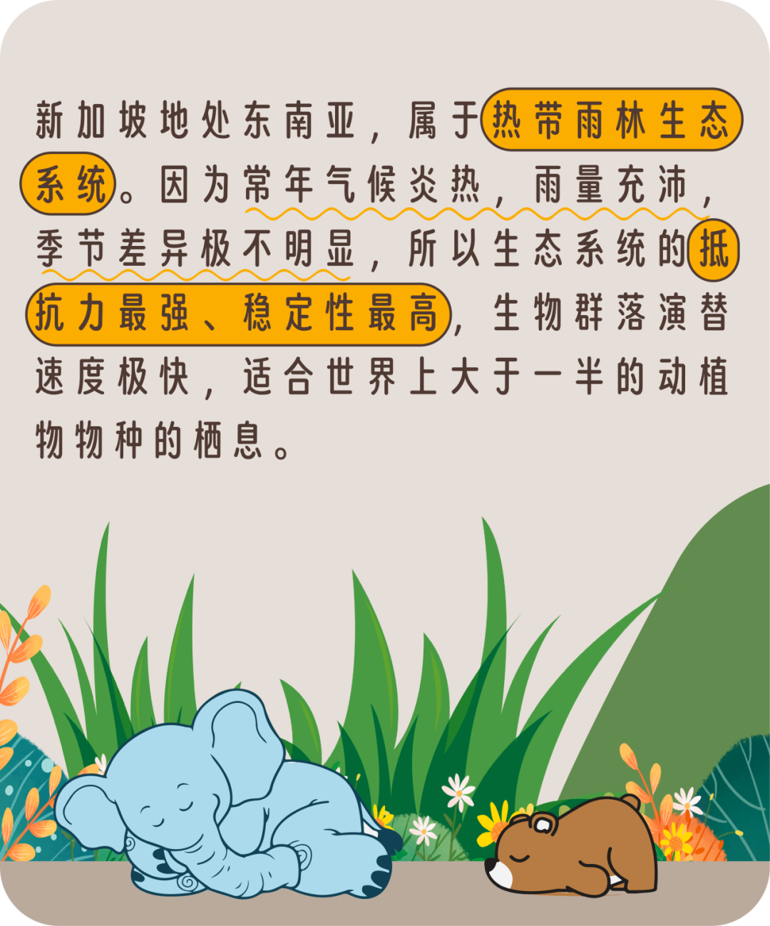 新加坡的野生动植物，到底有多“野”！