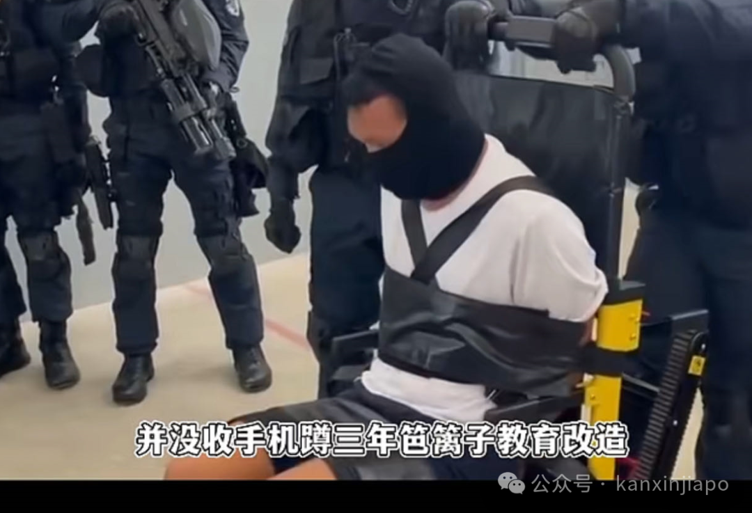 终极解谜:“新加坡到处都是便衣,过了十点敢喝酒就被鞭,蹭WiFi被遣送回国”
