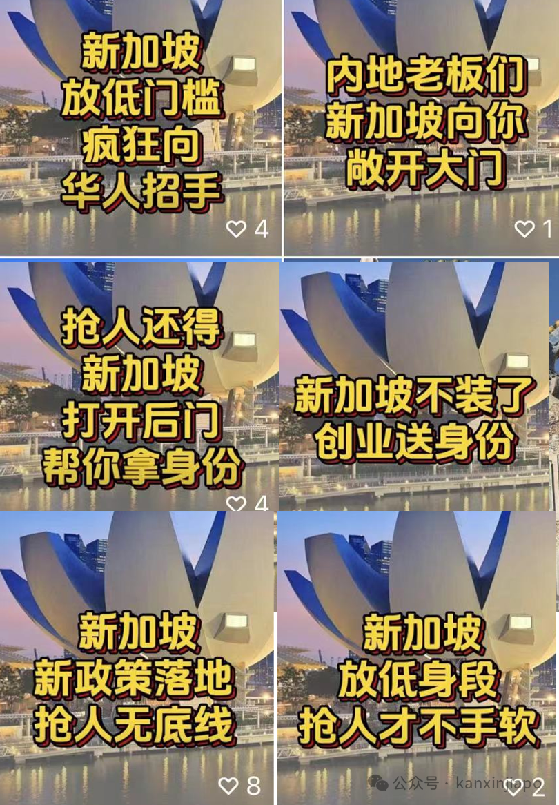 终极解谜:“新加坡到处都是便衣,过了十点敢喝酒就被鞭,蹭WiFi被遣送回国”