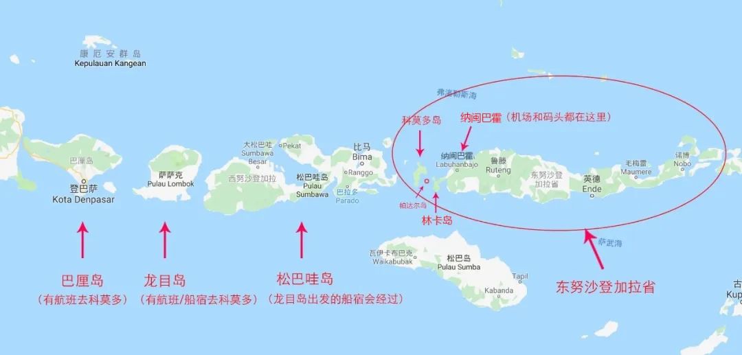 这里，藏着全世界唯一的真“龙”！