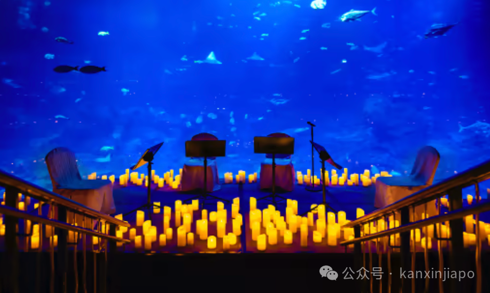 【下周活动】圣淘沙全新景点、迪士尼100周年活动、斯凯奇买一送一,抓住学校假期的尾巴!