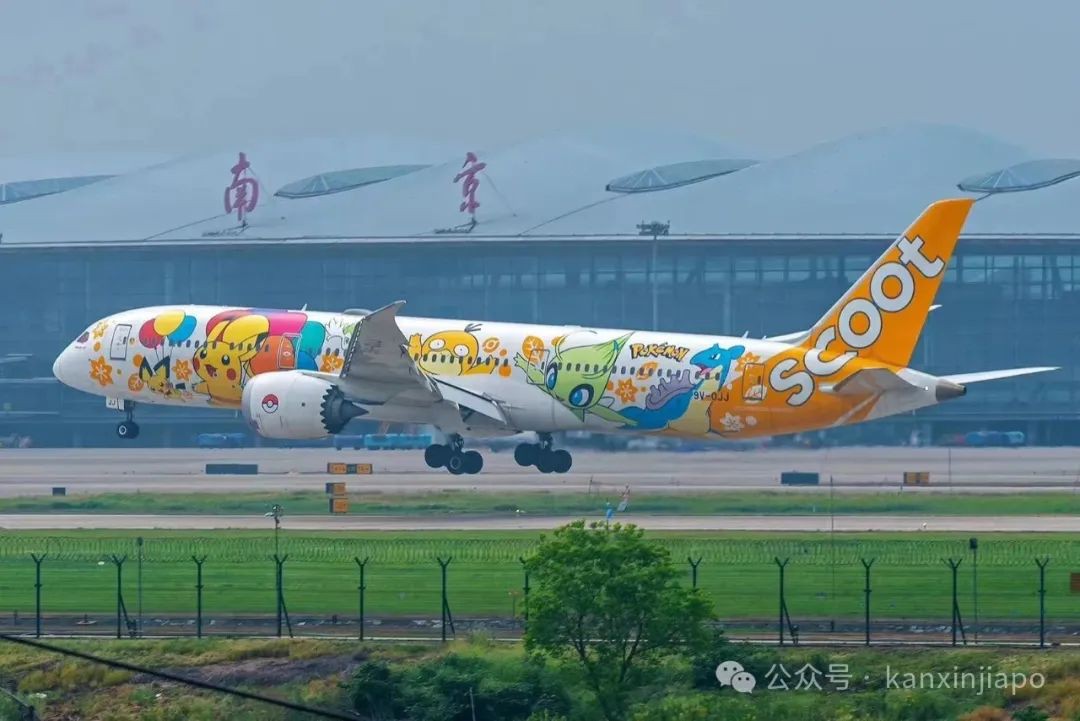 酷航获评为年度具价值航空公司!新加坡飞武汉、郑州的客机升级