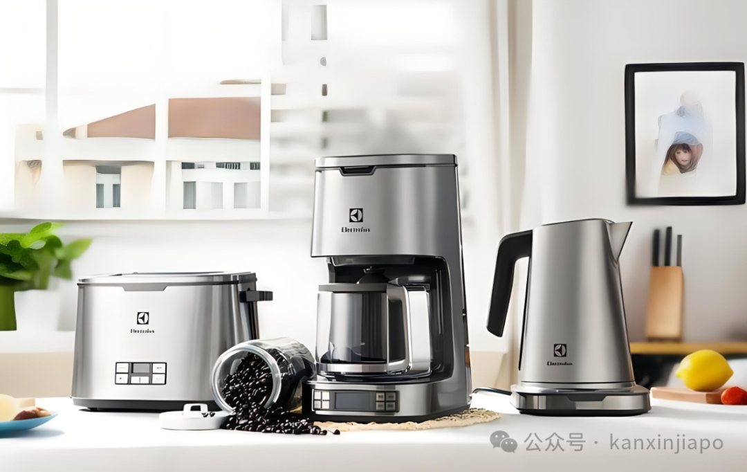 【十年老牌】集运中的平民“劳斯”,新加坡海运340/方,注册送100元优惠券!女神节寄件不踩雷!