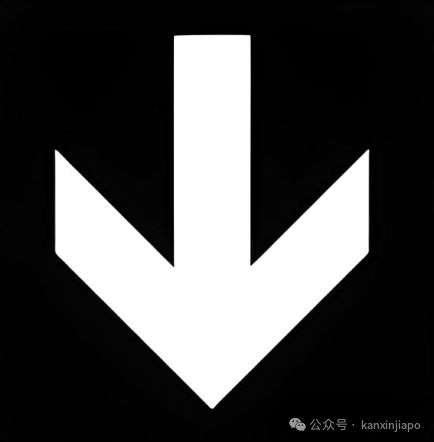 【十年老牌】集运中的平民“劳斯”,新加坡海运340/方,注册送100元优惠券!女神节寄件不踩雷!