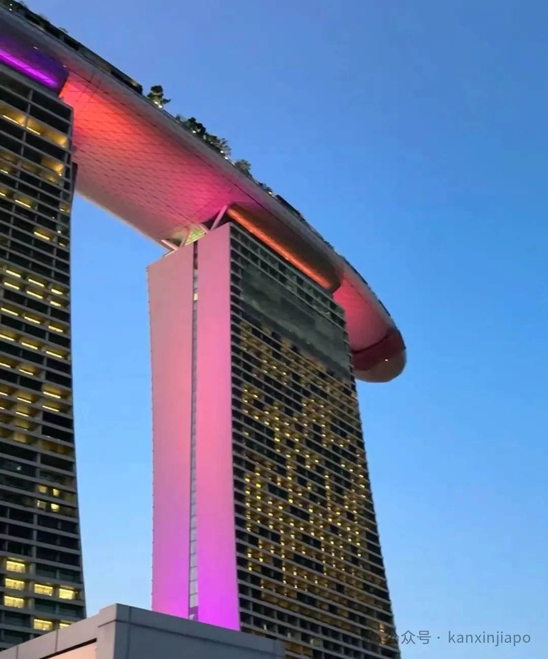 Lisa也来追星！全球霉粉涌来，各种周边卖爆，新加坡实力宠霉霉