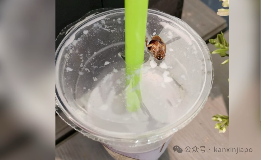【新加坡今日要闻】老巴刹吃夜宵还要附加费,豆浆喝出大蟑螂……