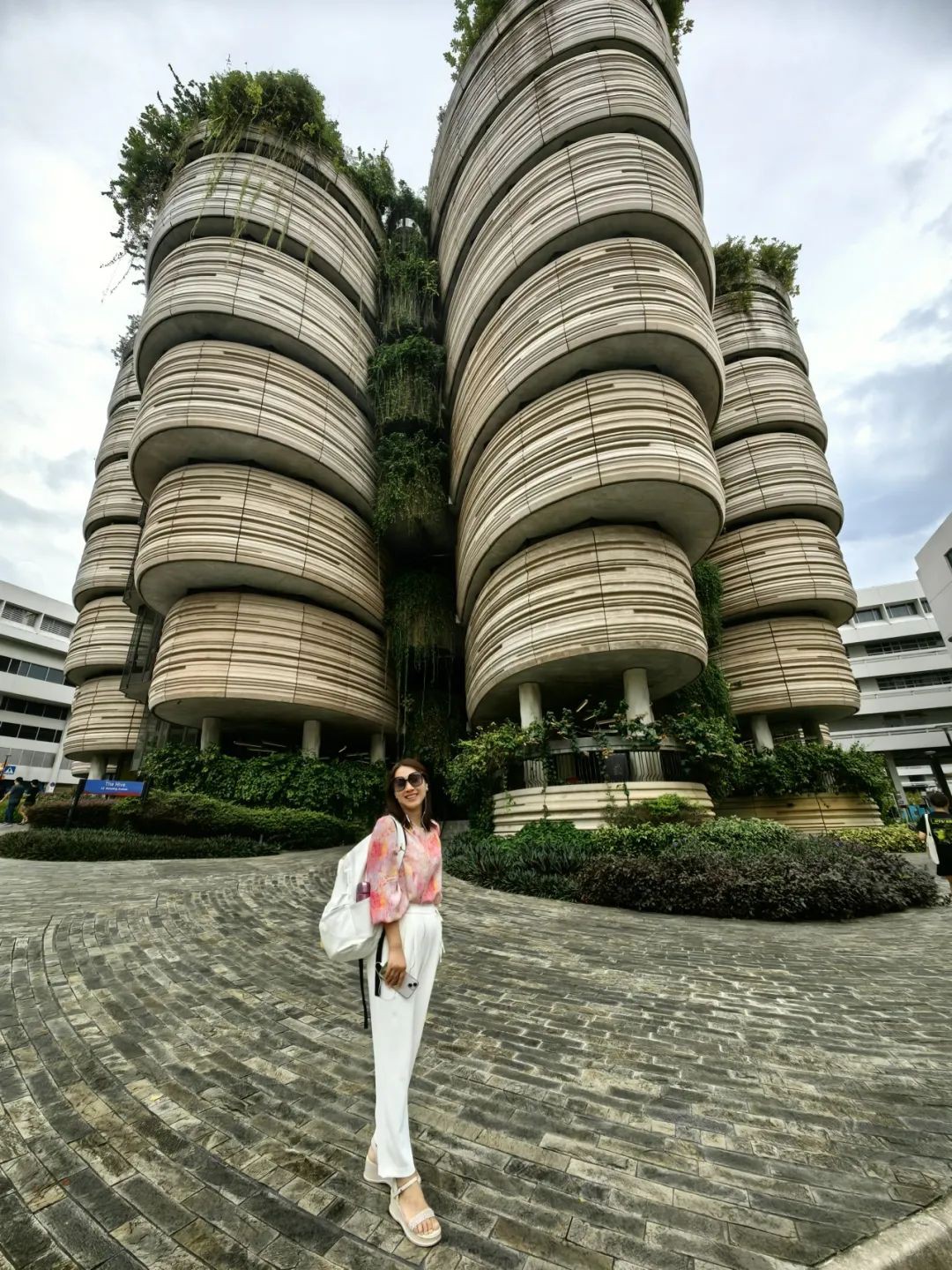 “从教英语16年、校长管理7年后，与新加坡南洋理工大学的相遇”