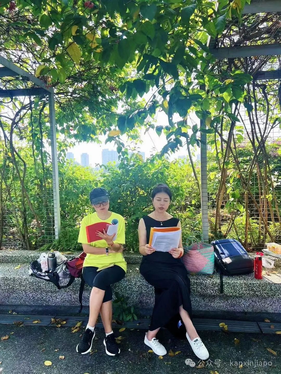 新加坡气温年年走高，没有最高，今年更高！下雨烤箱变蒸笼