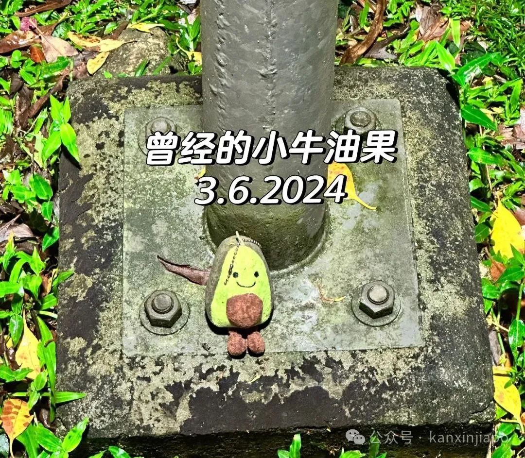 新加坡国立大学最新打卡点爆火!牛油果挂饰化身为3D打印之“神”
