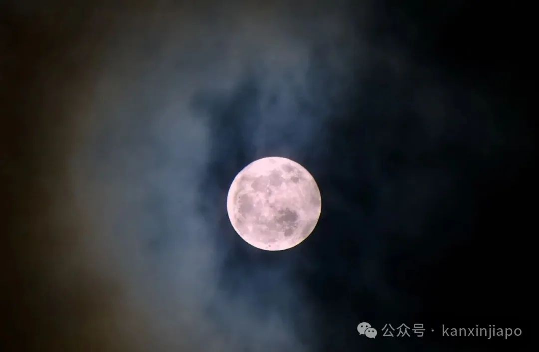 网友实拍!新加坡粉红月亮登场
