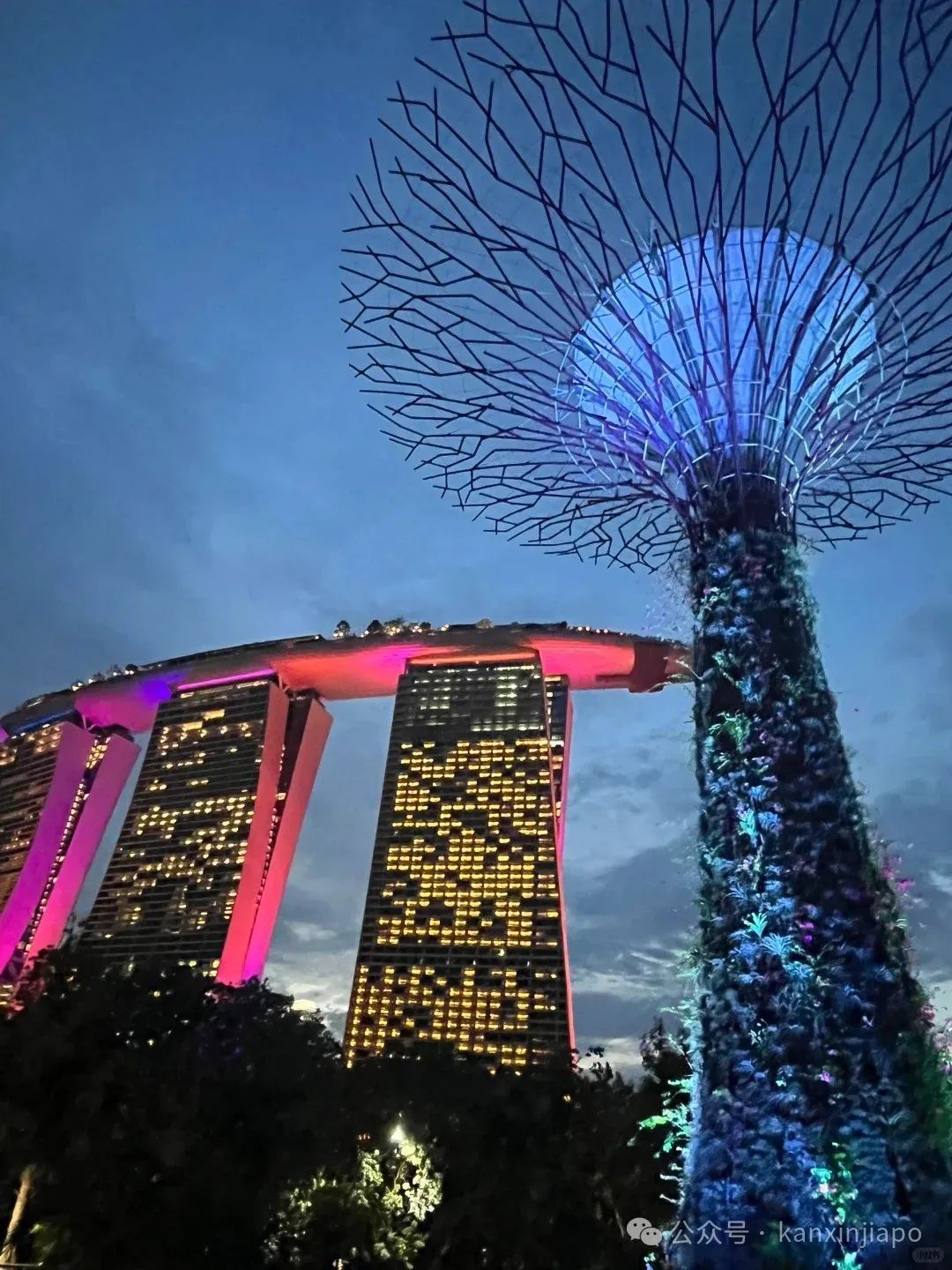 为什么大家都骂新加坡？