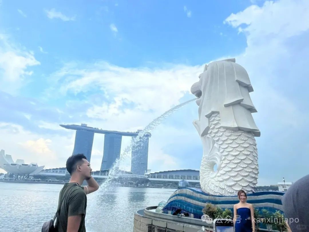 为什么大家都骂新加坡？