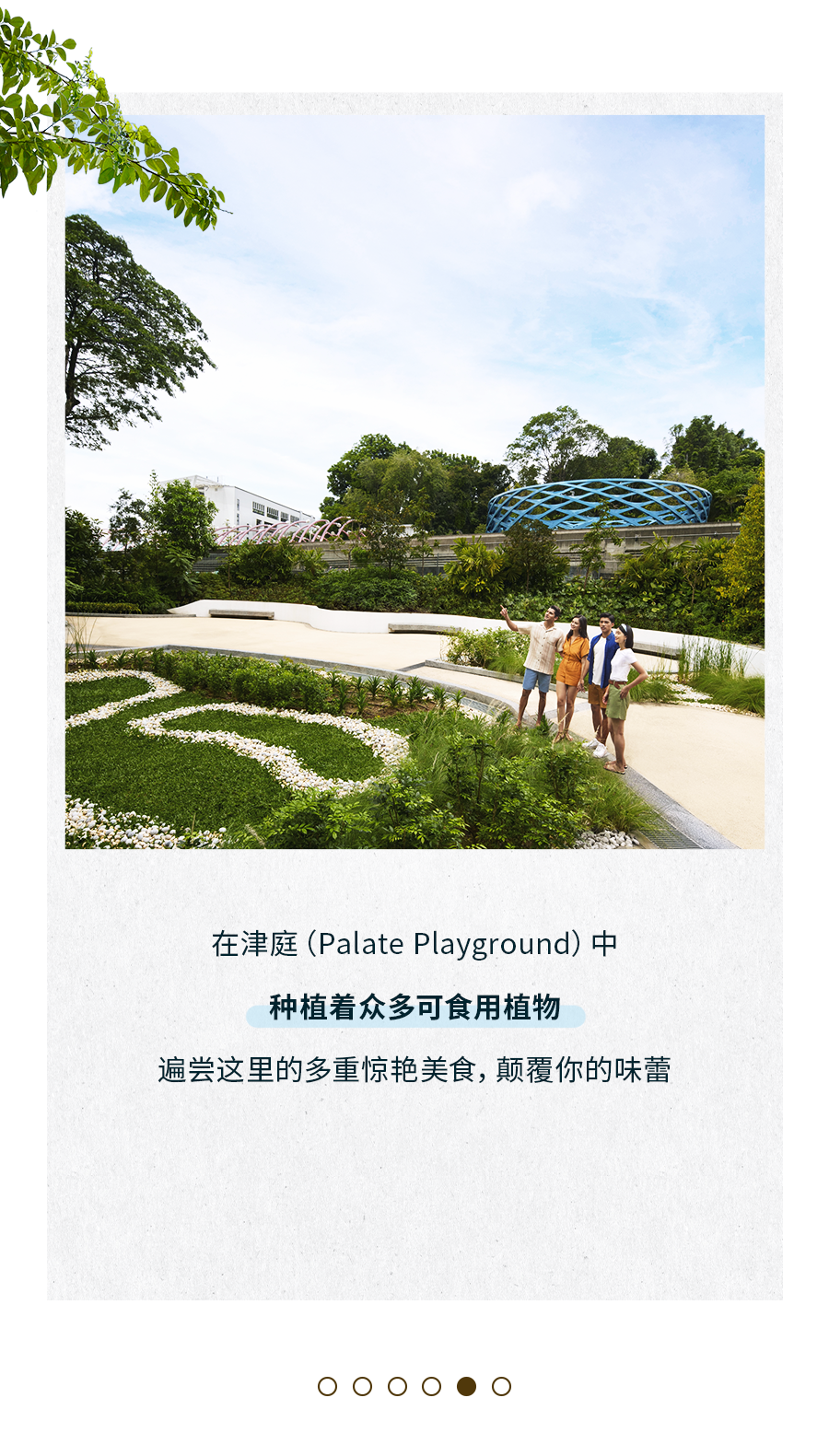 新加坡必去旅游景点大公开！