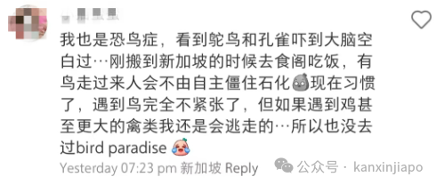 新加坡随处可见的鸟吓哭中国女游客，不停说“再也不来了！”