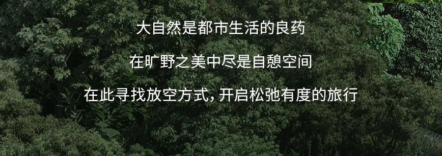 现在就开启一个新加坡城市逃离企划