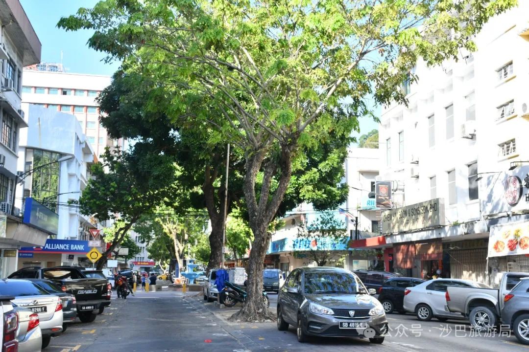 马来西亚沙巴必逛的唐人街,周日市场挖宝去