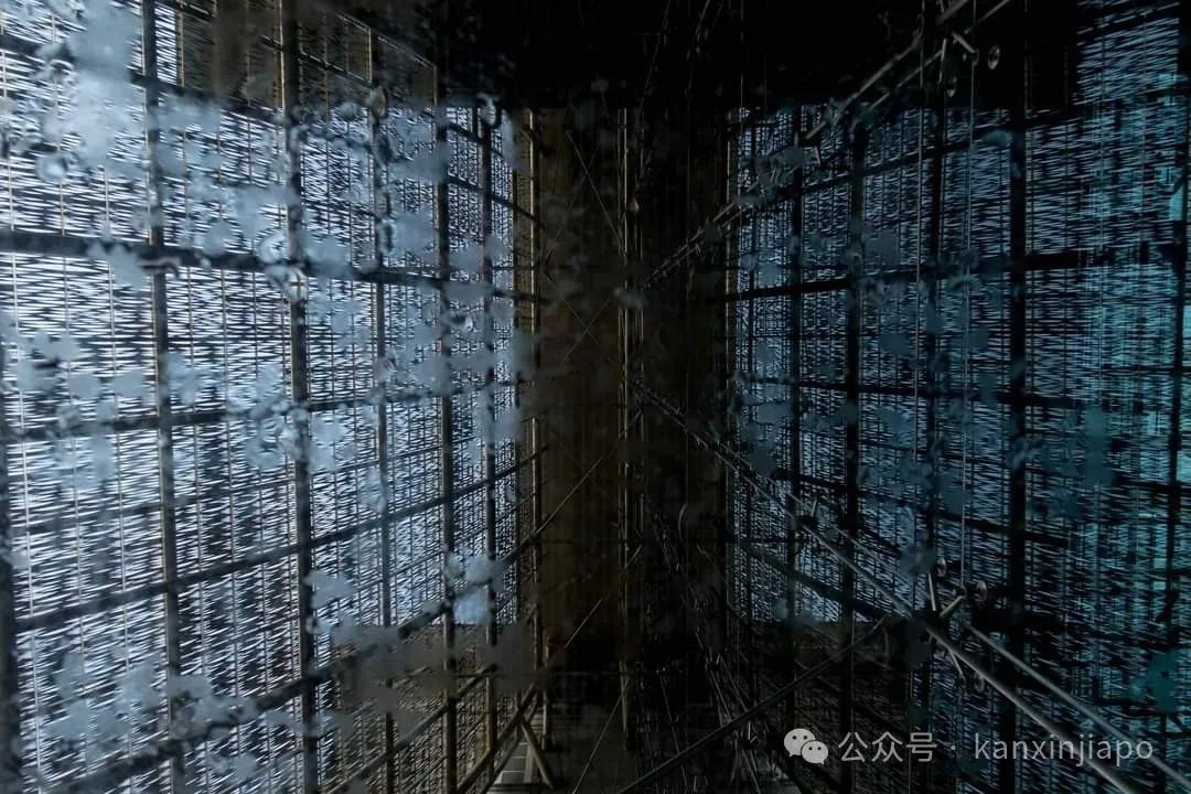 李显龙创立脸书账号12年发福利：官方表情包上线，一波未公开照片曝光