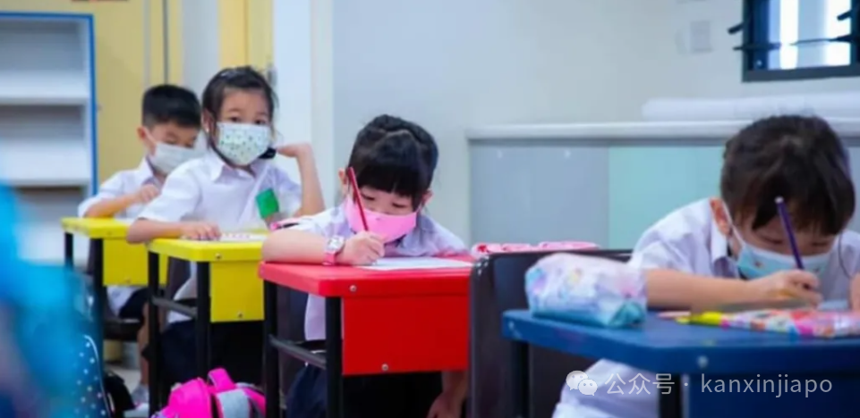 小一报名必看!新加坡最抢手的小学有哪些?