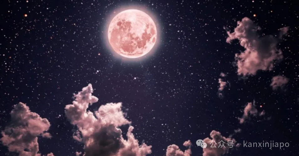 一起来见流星雨！新加坡下周将出现超级粉红月亮