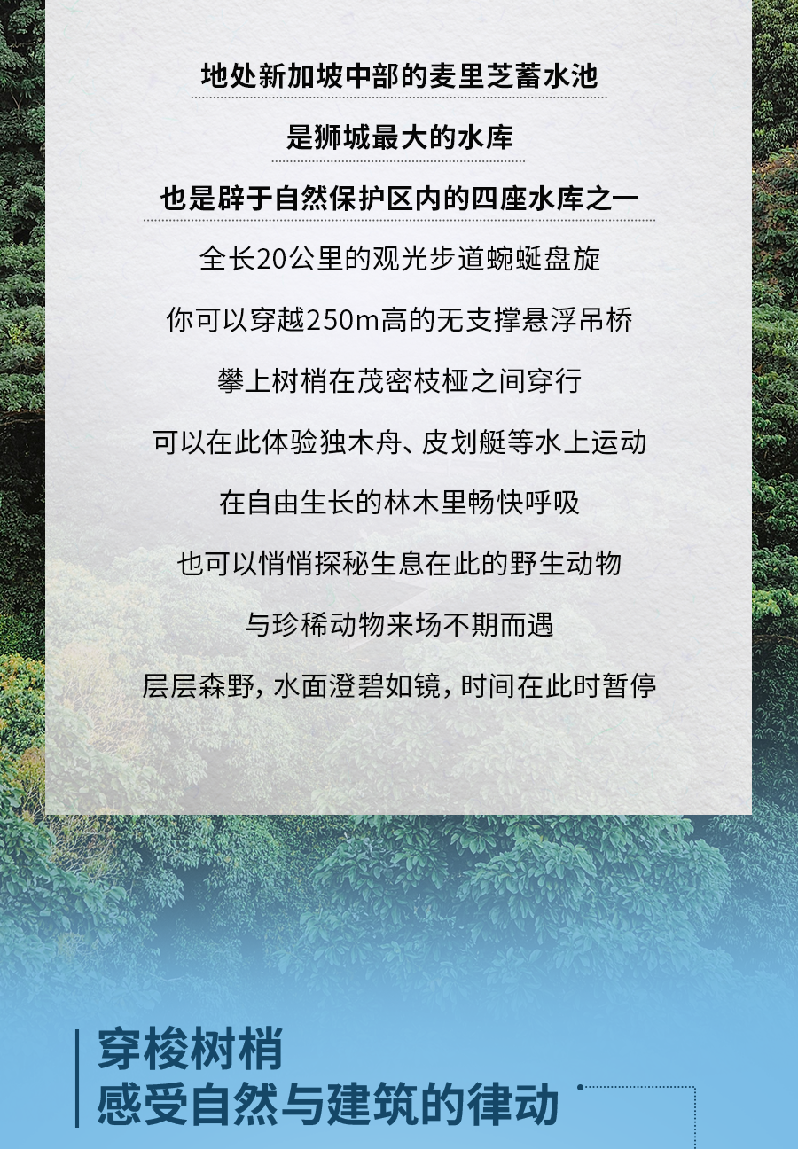 现在就开启一个新加坡城市逃离企划