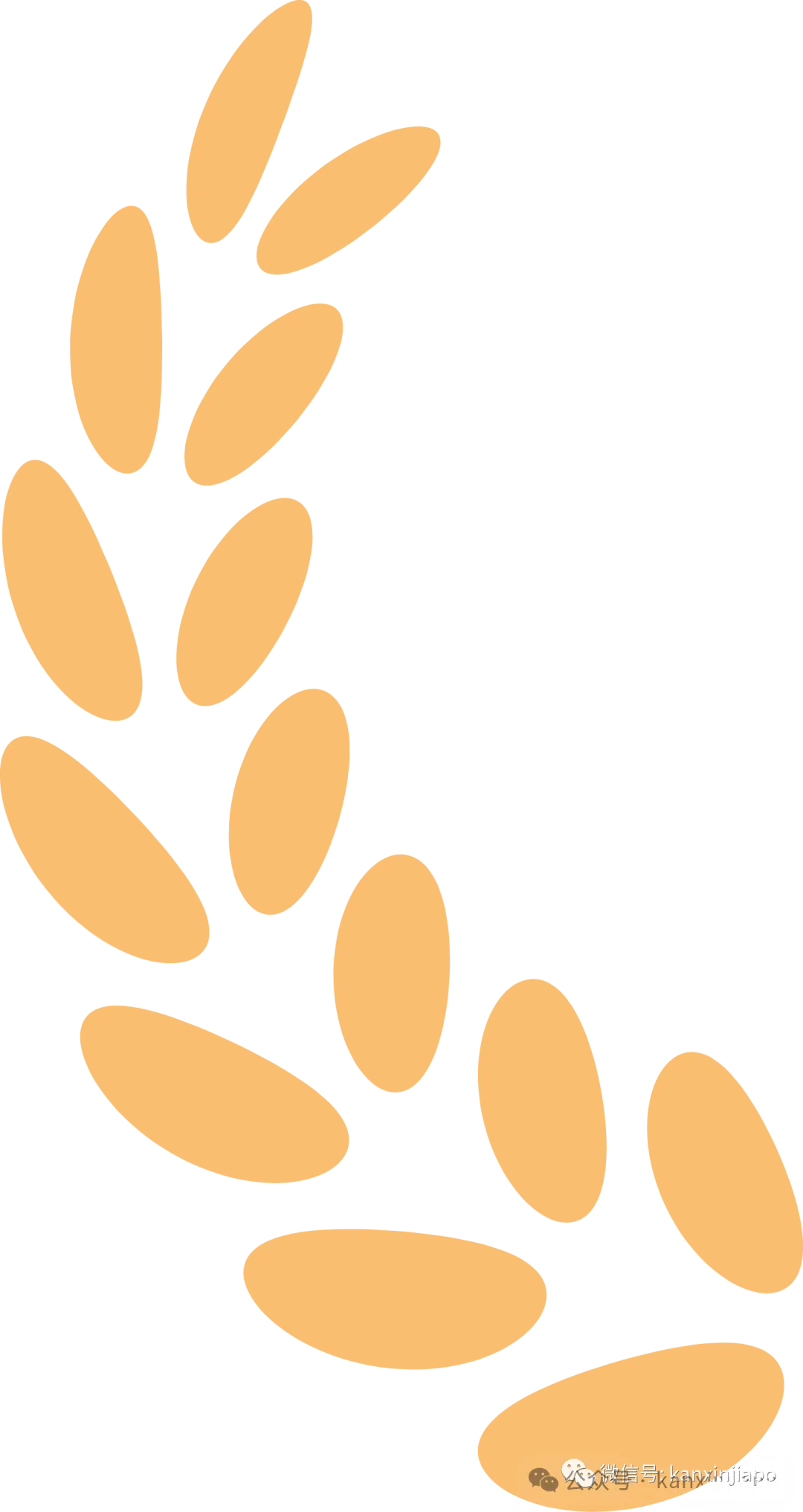 法国文化节在新加坡开启！一个月内体验音乐会、电影、法式大餐…