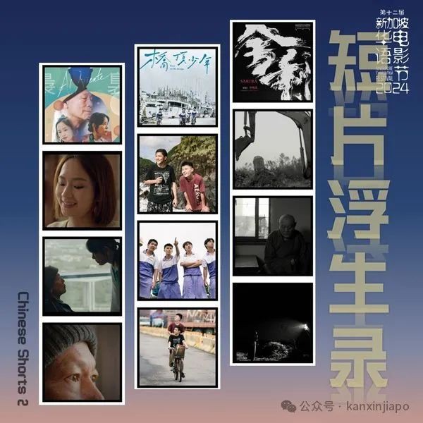 2024新加坡华语电影节来了！这些好片都上映了