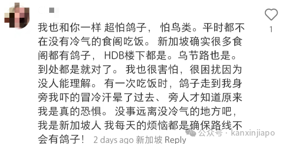 新加坡随处可见的鸟吓哭中国女游客，不停说“再也不来了！”