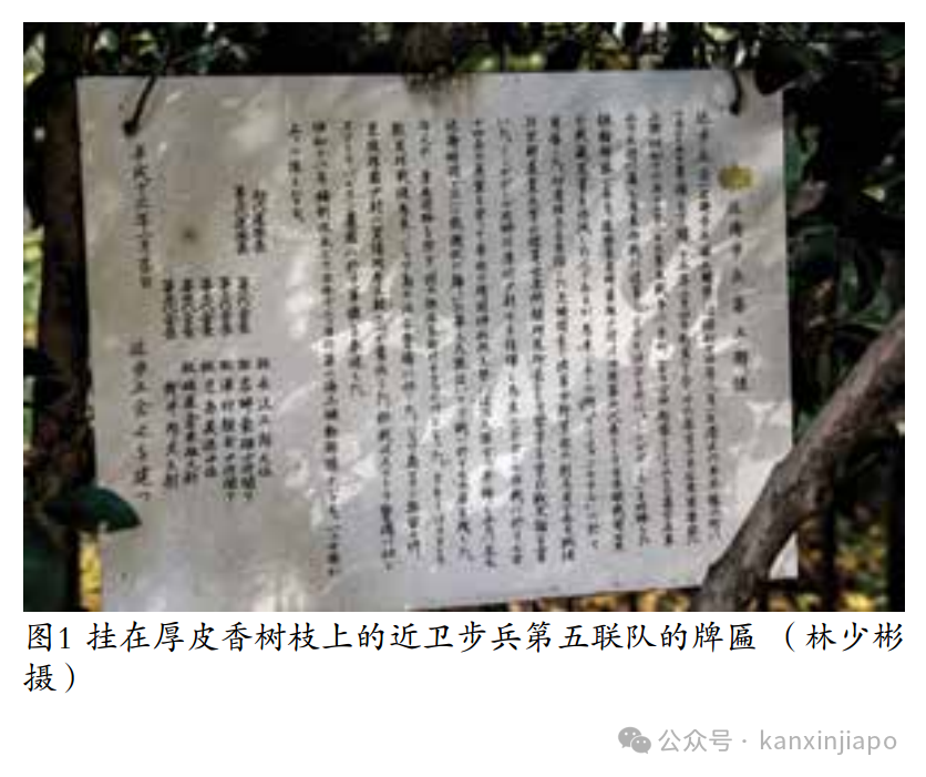 最丢脸的全体照!