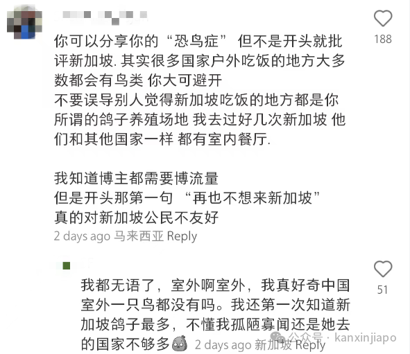 新加坡随处可见的鸟吓哭中国女游客，不停说“再也不来了！”