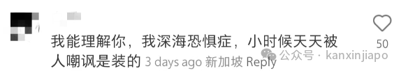 新加坡随处可见的鸟吓哭中国女游客，不停说“再也不来了！”