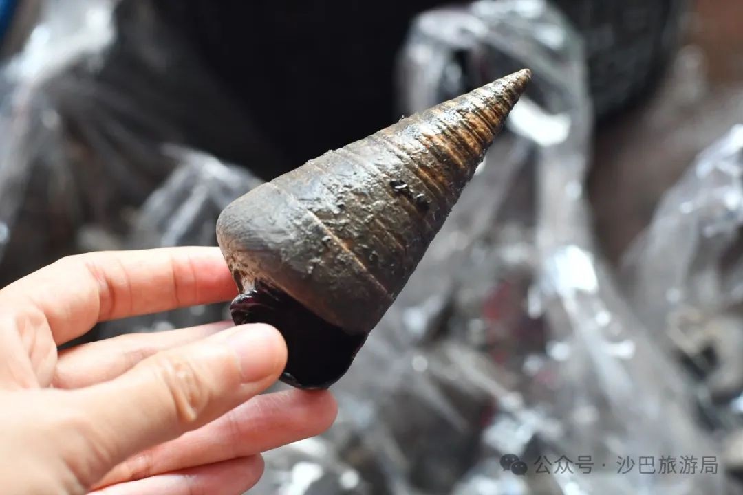 马来西亚沙巴古达的菜市场，有啥好逛？