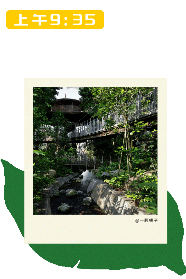 一日春游限定版野趣进行时，新加坡见！