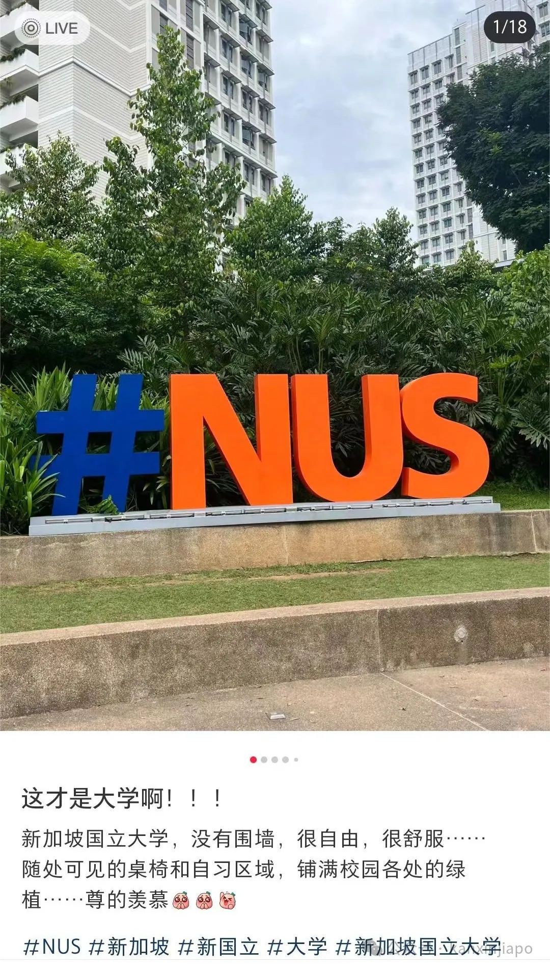 门都没有的新加坡大学,也不能随便进