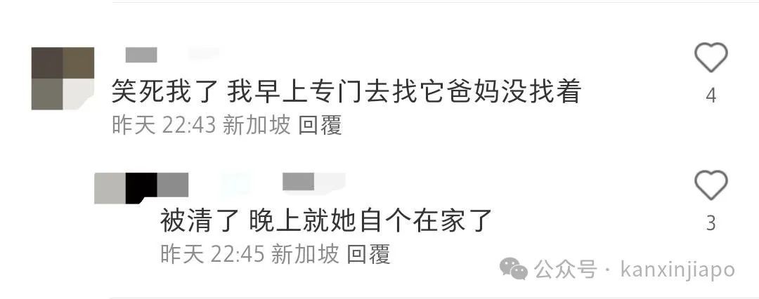一天内“闪婚生娃”!新加坡NUS牛油果神进化到了第三代