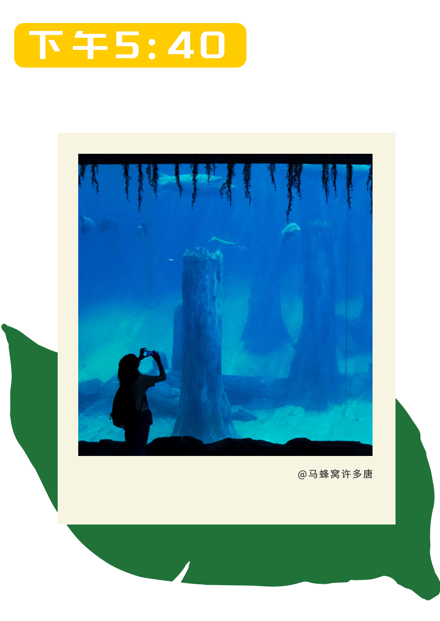 一日春游限定版野趣进行时，新加坡见！