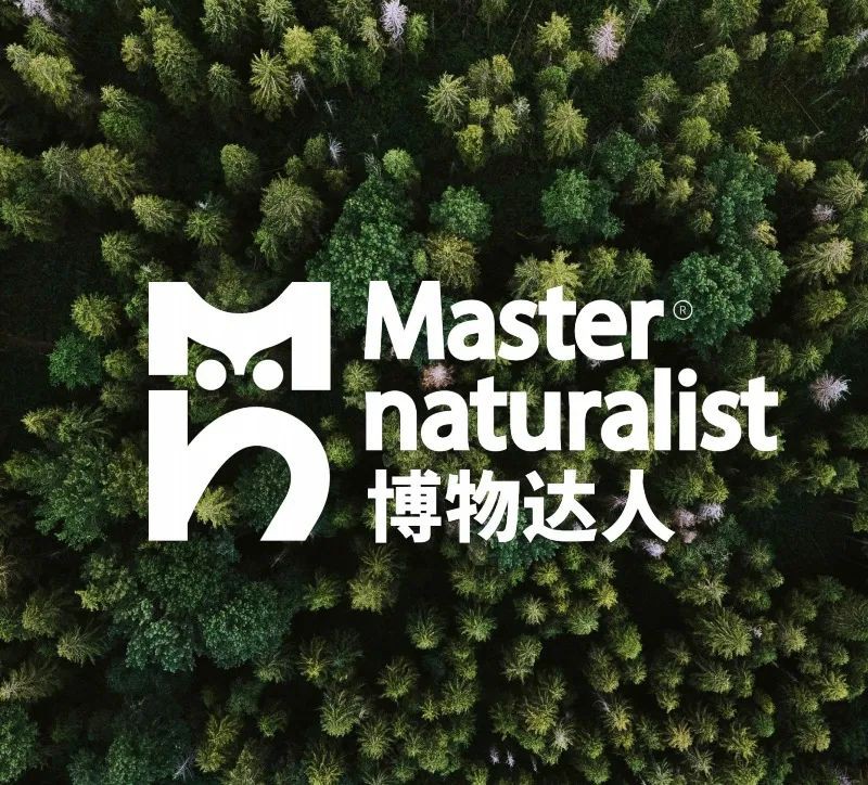 假期来新加坡体验一场寓教于乐的“博物式”自然探索之旅~
