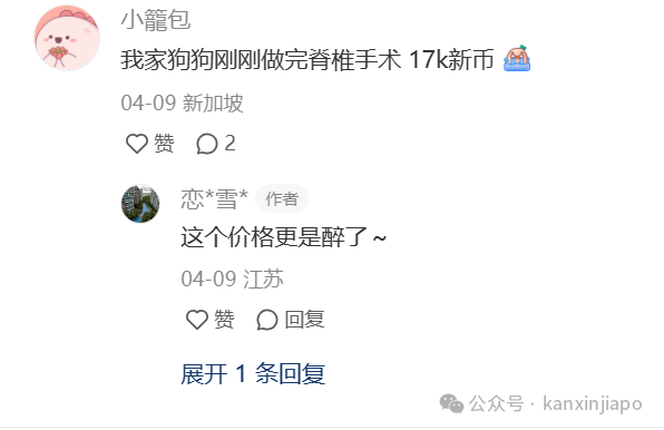 “在新加坡给小猫剖腹产要25000，比生孩子还贵！”